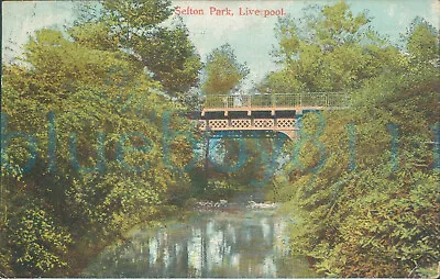 £4 • Buy Liverpool Sefton Park 1908 Postmark 
