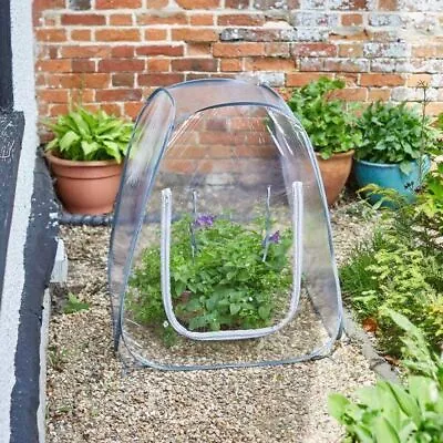 Garden Pop Up Growhouse Mini Greenhouse Protection Cover Greenhouse Plants Veg • £12.99