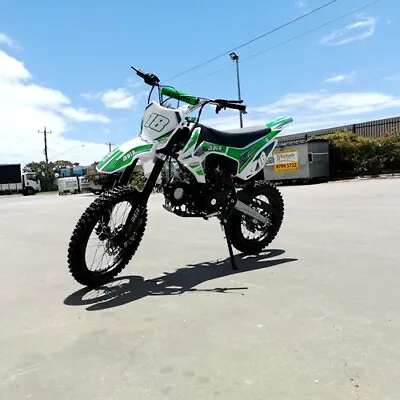 125cc Dirt Bike Pit Motor  Trail Motocross Ele-start 14/17 Big Wheel Dingo Green • $1048