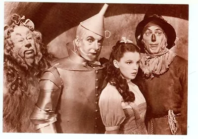 Celebrity-wizard Of Oz-dorothyscarecrowtin Manlion--4 X6 -(m-206*) • $2