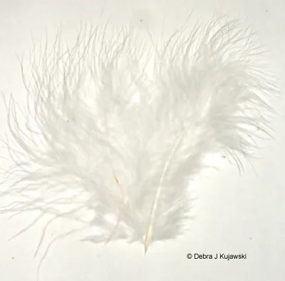 Quality Feathers Fluffy WHITE  Marabou 3-8  7 Gram Bag Approx. 35 Ct • $3.15