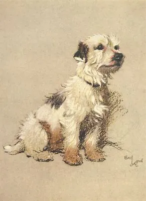 £3.32 • Buy Cecil Aldin A Dozen Dogs Or So, Hunt Terrier ReprInt Photo Picture No.6