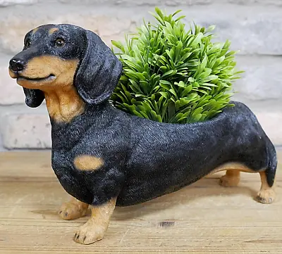 Dachshund Indoor Garden Patio Plant Herb Planter Ornament Sausage Dog Lover Gift • $28.56