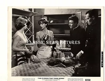 1B305 Elsa Martinelli Charlton Heston Pigeon That Took Rome 1962 Lot Of 2 Photos • $11.99