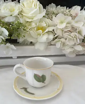 Villeroy & Boch Parkland A/D Cups - Espresso - Cups & Saucers - Set Of 2 • $66.99