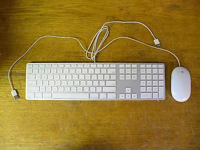 Apple White Aluminum USB Wired Keyboard Mighty Mouse IMAC G4 G5 EMAC A1152 A1243 • $34.65