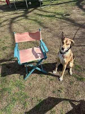 Vintage 1960s Directors Chair Blue And Pink • $99.99