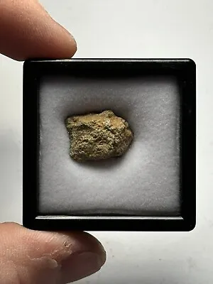 NWA 12241 Martian Shergottite Meteorite 2.53g • $329.95