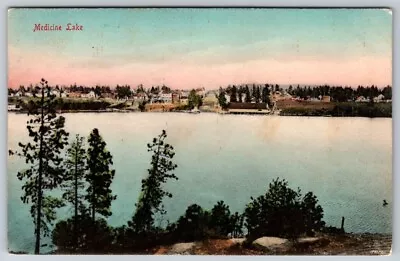 Medicine Lake Postcard Postmarked 1c Green 1706-1790 Ben Franklin Stamp 1902 • $13.99