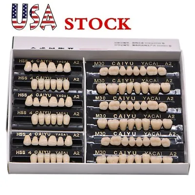 $11.60 • Buy 84 Pcs/Box Dental Denture 23# A2 Acrylic Resin Full Set Teeth Upper Lower Shade