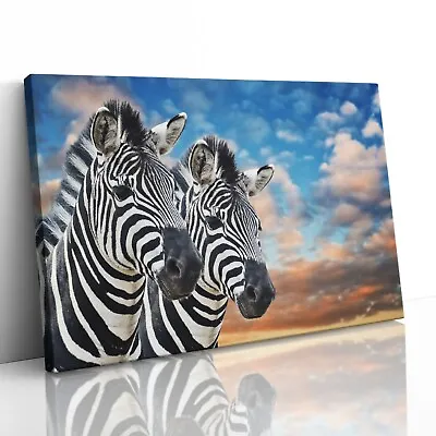 Wild Zebras In Africa Canvas Print Picture Framed Wall Art Poster Close Up • £7.99