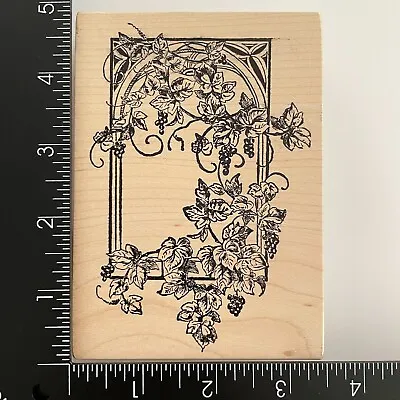 Magenta Grapevine Grape Vine Garden Arch Arbor Wood Mounted Rubber Stamp • $7.99