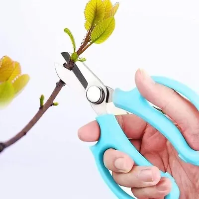 Floral Scissors Stainless Steel Pruning Shears  Gardening Comfort Grip Sharp • £5.50