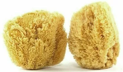 Lot (2) 6 -7  Natural Ocean Sea Sponge Bath Body Shower Washing Spa Loofah NEW • $19.50