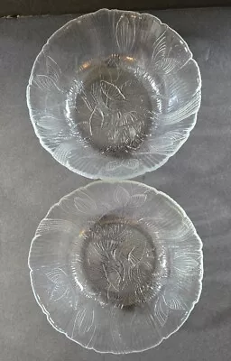 Vintage Arcoroc France Clear Glass 2 Canterbury Crocus Cereal Bowls Set • $16.99