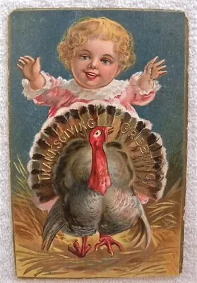 1908 Turkey Being Chased By Little Girl Thanksgiving Series No.1 Postcard Pc • $5.99