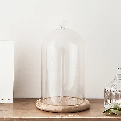 £22.99 • Buy Small Or Large Glass Display Cloche Bell Jar Dome With Wooden Base 