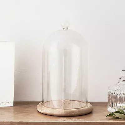 £22.99 • Buy Small Or Large Glass Display Cloche Bell Jar Dome With Wooden Base 