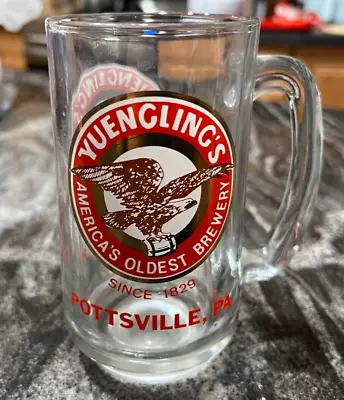 Rare Yuengling's Beer Drinking Glass / Mug Yuengling Brewing Co Pottsville Pa • $49.99