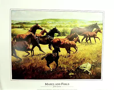 Horses Mares And Foals Picture Western Cowboy John Leone Print 16x20 • $17.95