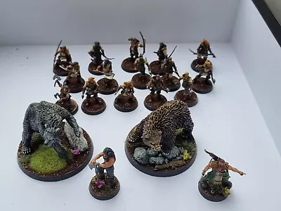 Warhammer MESBG Hobbit Beornings Army. Both Bears And 15 Beornings Painted • £199.99