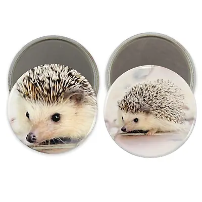 2.25 Inch Magnets Set Of 2 Cute Hedgehog For Fridge Kitchen Whiteboard • $7.35
