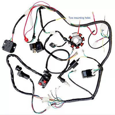 Complete Electrics For  200 250cc Zongshen Lifan Ducar CDI Coil Harness 2 BOLT • $79.49