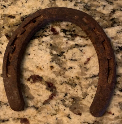 $6 • Buy Very Small Old Rusty Horseshoe