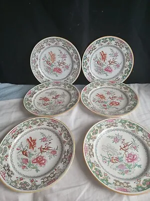 19th Century English Minton Oriental Bird And Floral Rimmed Set Of 6 Plates • $189