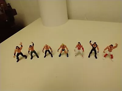 Mini Figurines Set Of 7 Wrestlers 6/2/23 • $20