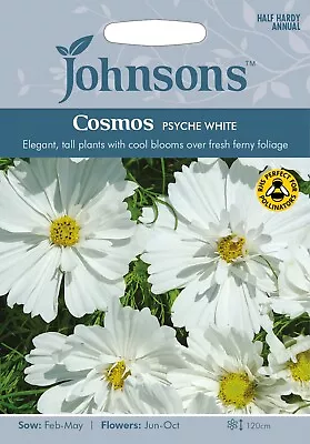 Cosmos Seeds 'Psyche White' Seeds By Johnsons Approx 60 Seeds Per Pack • £3.60