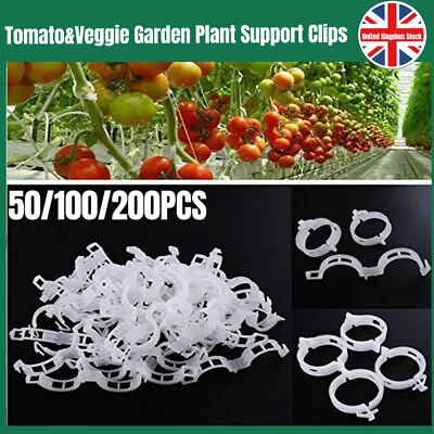 50-200PCS Garden Plant Support Clips Ties Veggie Trellis Stake Greenhouse Tomato • £8.99