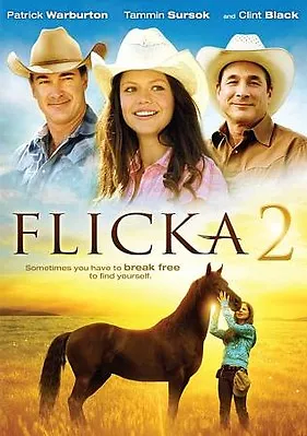 EX-LIBRARY - Flicka 2 - DVD -  Good - Tammin SursokPatrick WarburtonClint Blac • $6.99