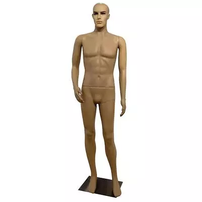 Male Full Body Realistic Mannequin Display Head Turns Dress Form W/Base 185cm • $69.99