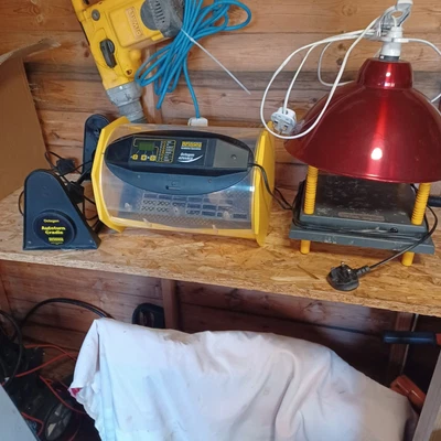 £200 • Buy Brinsea Incubator 20 With Cradle An Heat Pad Plus Light No Bulb 