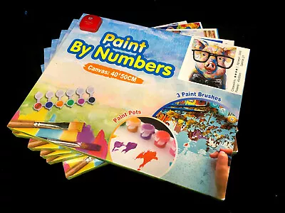 ART WORK DIY Art Painting Paint By Numbers On Canvas KIT 50cm X 40cmCRAFT DECO • $22.85