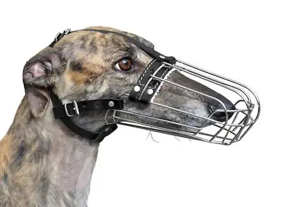 £20.99 • Buy  New Metal STRONG Wire Basket Dog Muzzle Greyhound Collie And Similar Dogs 3D