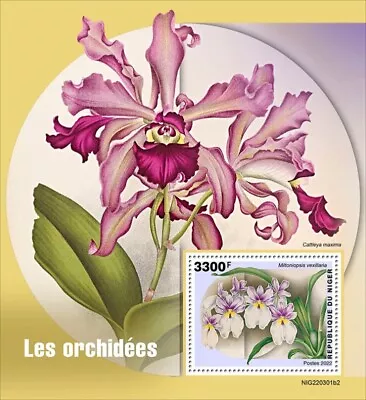 Niger - 2022 Miltoniopsis Vexillaria Orchid - Stamp Souvenir Sheet - NIG220301b2 • $11.90