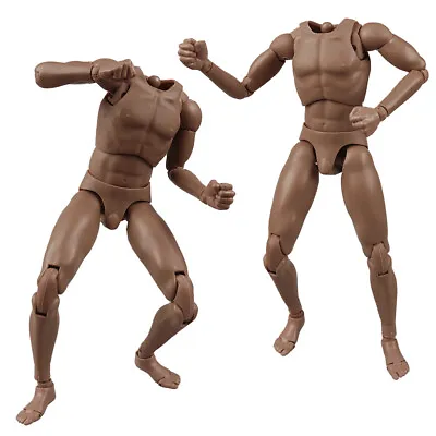£20.55 • Buy 1/6 Scale Male Muscular Body V1-N Action Figure 12 Doll Fit Phicen Hot Toys Head