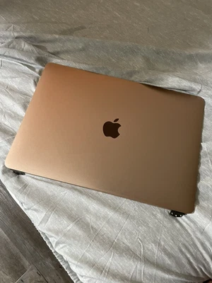 $19 • Buy LCD Screen Display Rose Gold For MacBook Air 13  M1 A2337