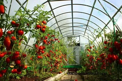 Greenhouse Clear Film Multi-Size G160 Reinforced HDPE HeavyDuty 5 Years Warranty • $65