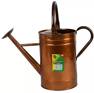 Galvanised Watering Can 9Litres Outdoor Garden Bronze Metal Watering Can • £17.99