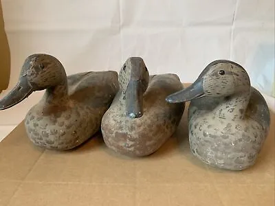 Lot Of Three Vintage Animal Trap Co. Mallard Hen Duck Decoy Plastic Victor D-10 • $50