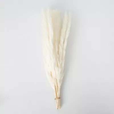 12pc White Pampas Grass Natural Dried Flower Feather Bouquet Home Decor For Vase • £6.99