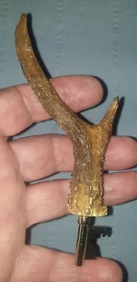 £8.99 • Buy Real Deer Roe Buck Stag Antler Bottle Opener  Bar Unique Gift