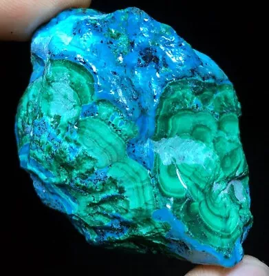 46g Natural Genuine Chrysocolla Shattuckite Malachite Green Crystal Stone C352 • $0.01