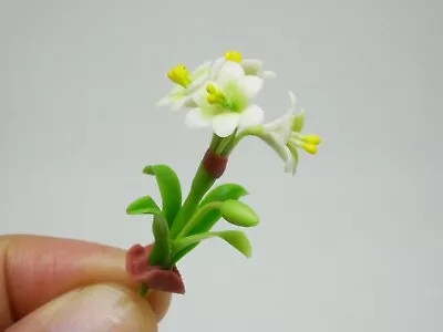 1 Pc Miniature Amaryllis Flower Clay Dollhouse Handmade Decoration 1:12 • $1.96