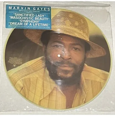 Marvin Gaye  Picture Disc 1985  LP Record With Hype Sticker. Excellent! • $39.99