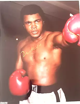 Muhammad Ali Boxing Great !! Autographed 8x10 Photo W/COA • $249.95