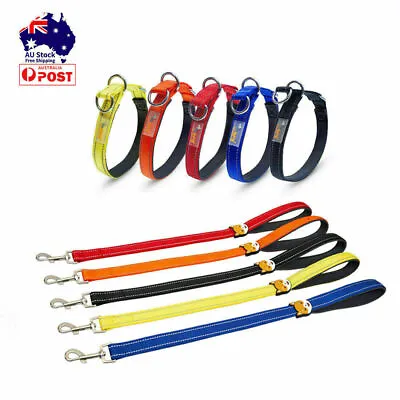 60cm Martingale Dog Collar Short Lead Adjustable Training Collars Leash Set Cat • $33.34